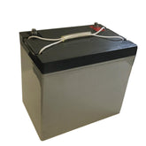 Nature's Generator 60Ah Replacement Battery - Nature's Generator