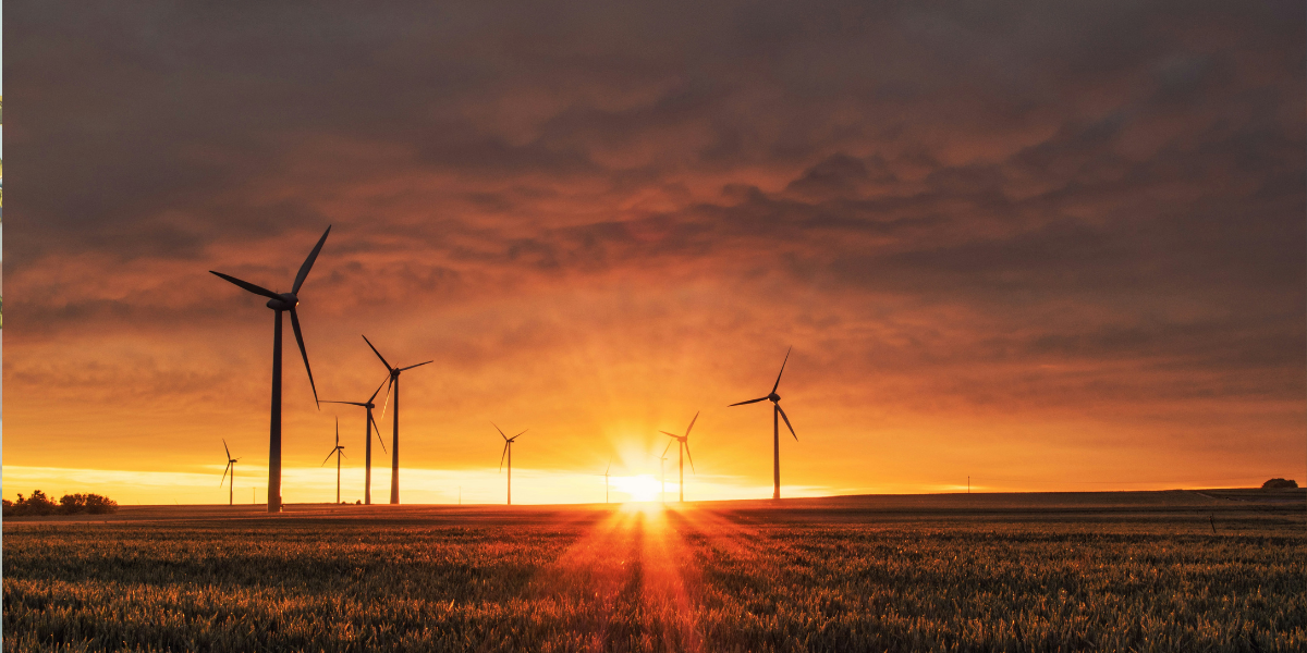 The Step-by-Step Science of How Wind Becomes Electricity