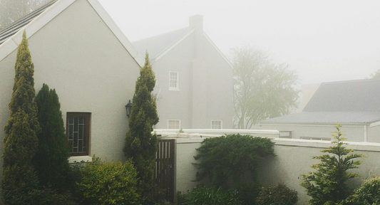 AES Power Outage - Nature's Generator