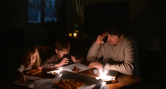 greenville utilities - natures generator