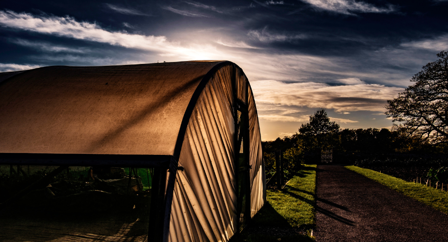 How to Power Your Grow Tent with a Solar Generator