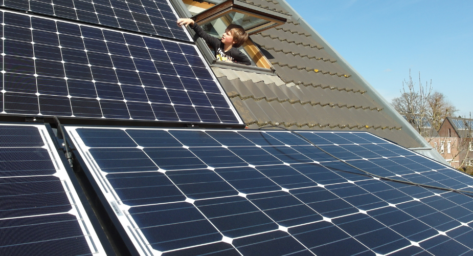 Keep Your Home Running Smoothly with Nature's Generator