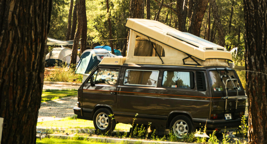 rv features - natures generator