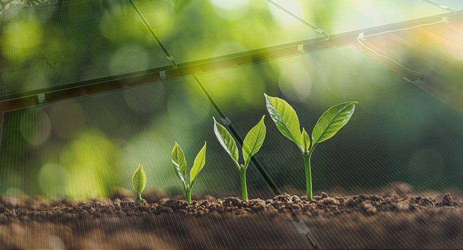 What are the Economic Impacts of Solar Energy