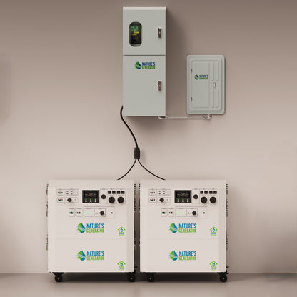 Secene - Two power generators with 'Nature's Generator' branding on a beige background