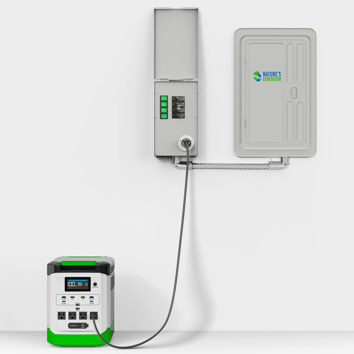 Scene - L1800_with_4Circuit_Transfer_Switch