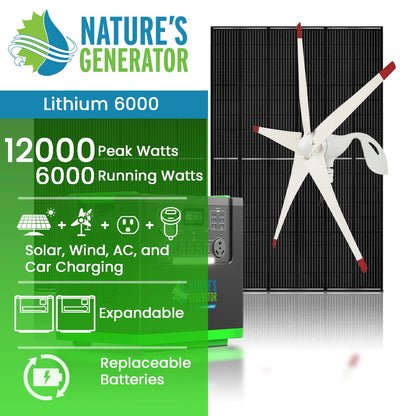 Product 
Lithium 6000 with 2x 410W Rigid Panel and Wind Turbine