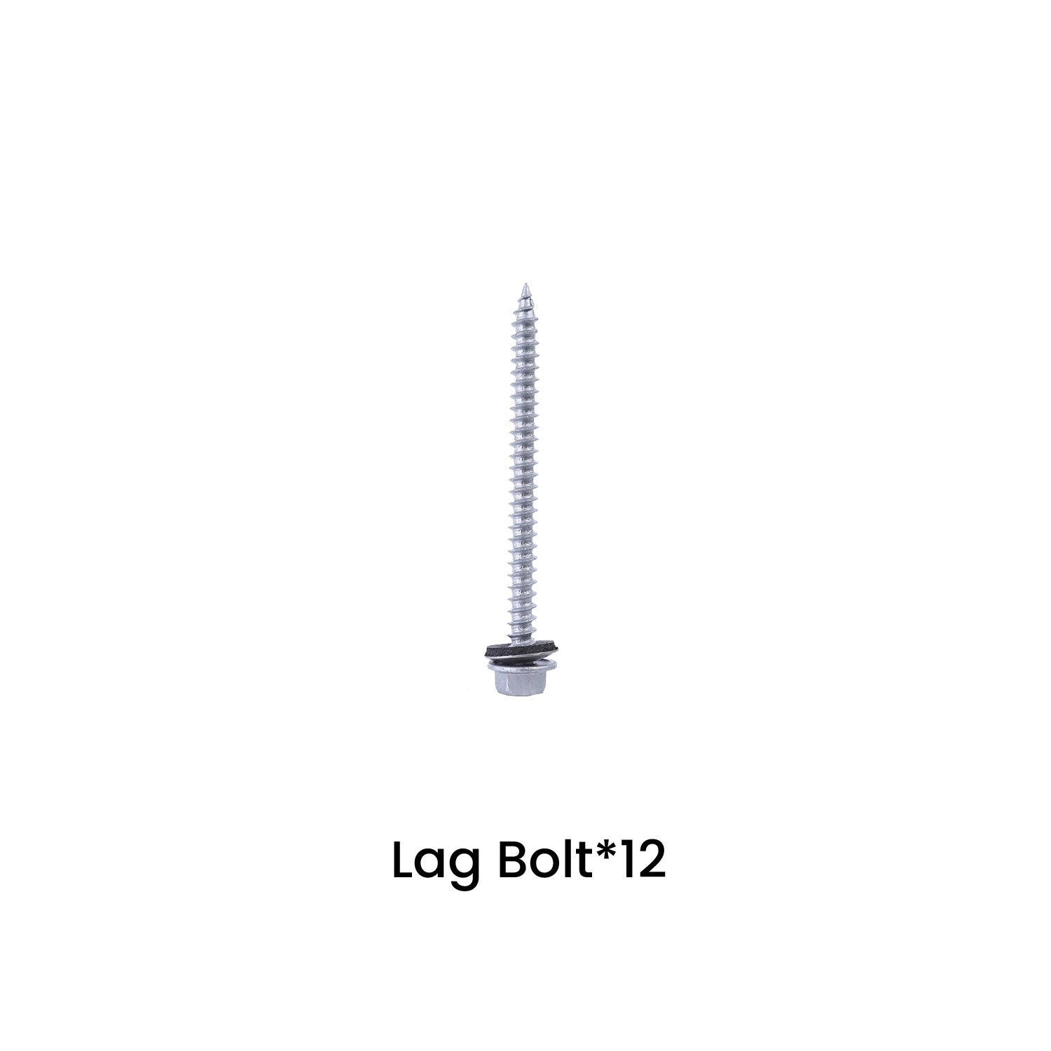 Lag bolt labeled 'Lag Bolt*12' on a white background