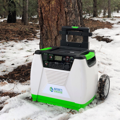 Scene - 1800 Standard Winter