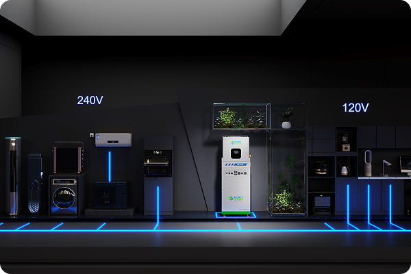 Price & Payment Options