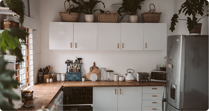 Portable Kitchen Appliances